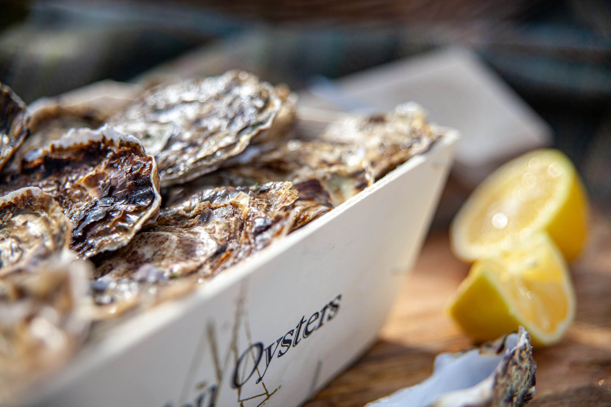 Maldon Oyster Company